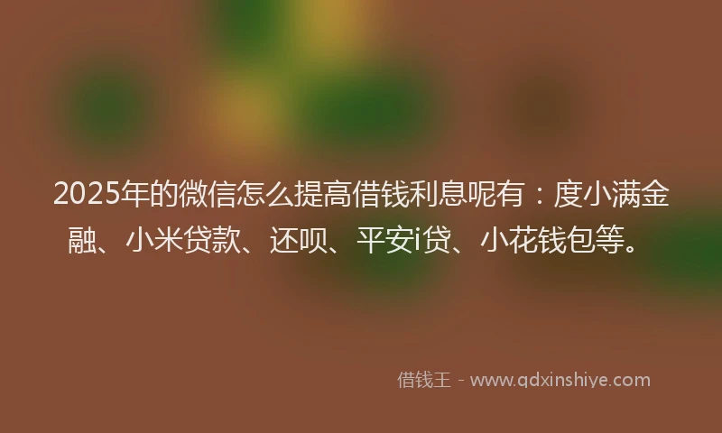 2025年的微信怎么提高借钱利息呢有：度小满金融、小米贷款、还呗、平安i贷、小花钱包等。