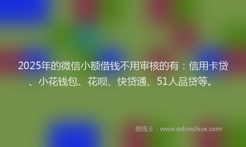 2025年的微信小额借钱不用审核的有：信用卡贷、小花钱包、花呗、快贷通、51人品贷等。