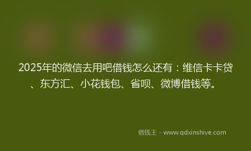 2025年的微信去用吧借钱怎么还有：维信卡卡贷、东方汇、小花钱包、省呗、微博借钱等。