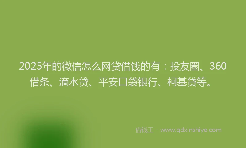 2025年的微信怎么网贷借钱的有：投友圈、360借条、滴水贷、平安口袋银行、柯基贷等。