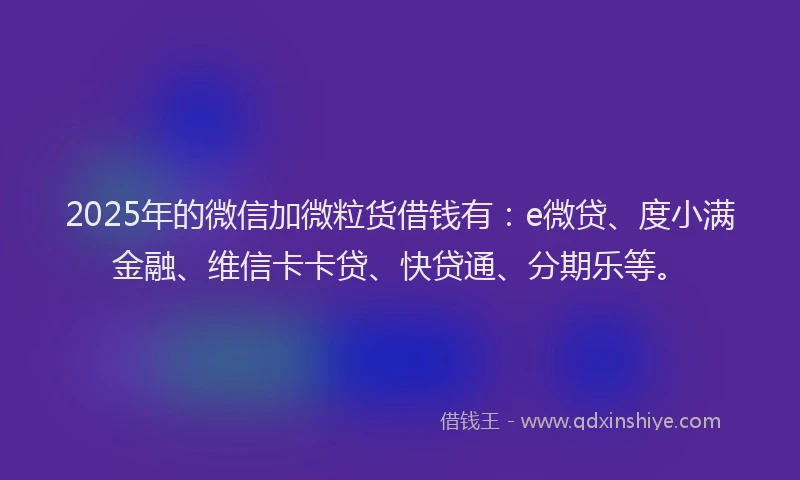 2025年的微信加微粒货借钱有：e微贷、度小满金融、维信卡卡贷、快贷通、分期乐等。