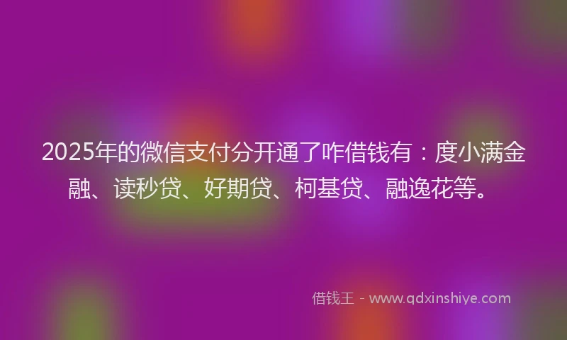 2025年的微信支付分开通了咋借钱有：度小满金融、读秒贷、好期贷、柯基贷、融逸花等。