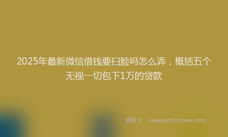 2025年最新微信借钱要扫脸吗怎么弄，概括五个无视一切包下1万的贷款