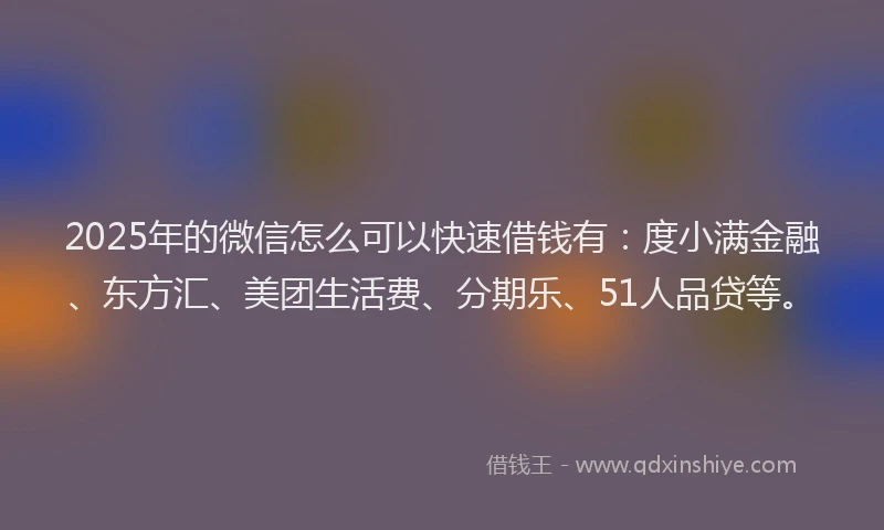 2025年的微信怎么可以快速借钱有：度小满金融、东方汇、美团生活费、分期乐、51人品贷等。