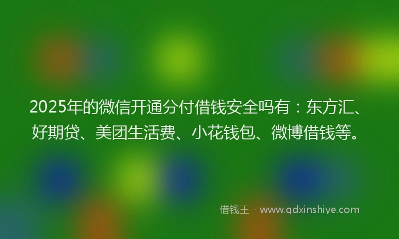 2025年的微信开通分付借钱安全吗有：东方汇、好期贷、美团生活费、小花钱包、微博借钱等。