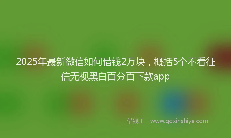 2025年最新微信如何借钱2万块，概括5个不看征信无视黑白百分百下款app