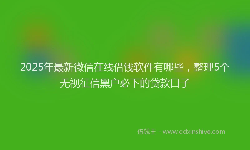 2025年最新微信在线借钱软件有哪些，整理5个无视征信黑户必下的贷款口子