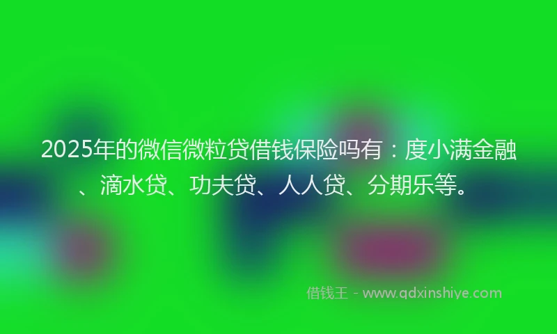 2025年的微信微粒贷借钱保险吗有：度小满金融、滴水贷、功夫贷、人人贷、分期乐等。