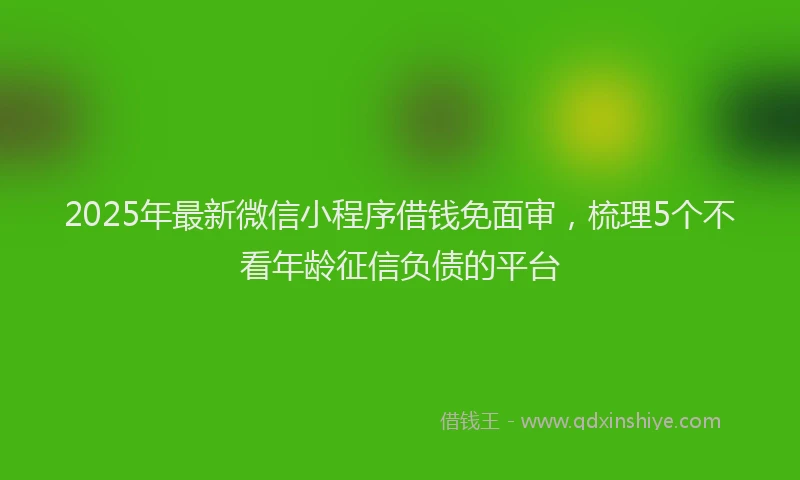 2025年最新微信小程序借钱免面审，梳理5个不看年龄征信负债的平台