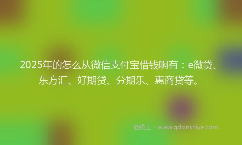 2025年的怎么从微信支付宝借钱啊有：e微贷、东方汇、好期贷、分期乐、惠商贷等。