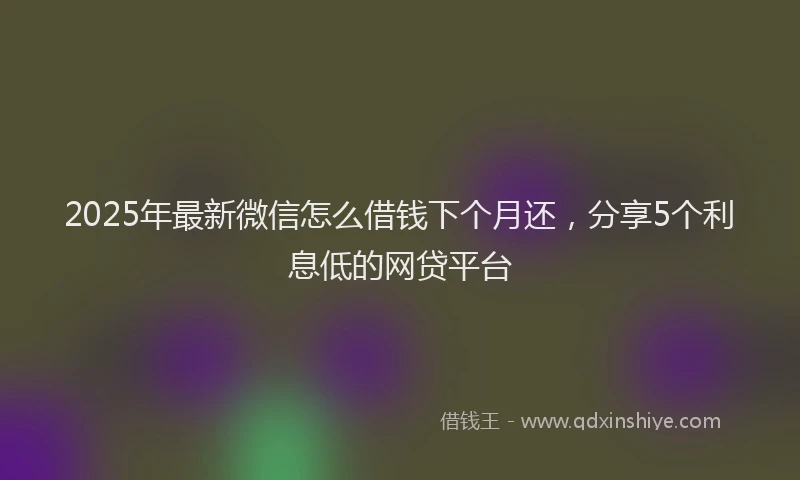 2025年最新微信怎么借钱下个月还，分享5个利息低的网贷平台