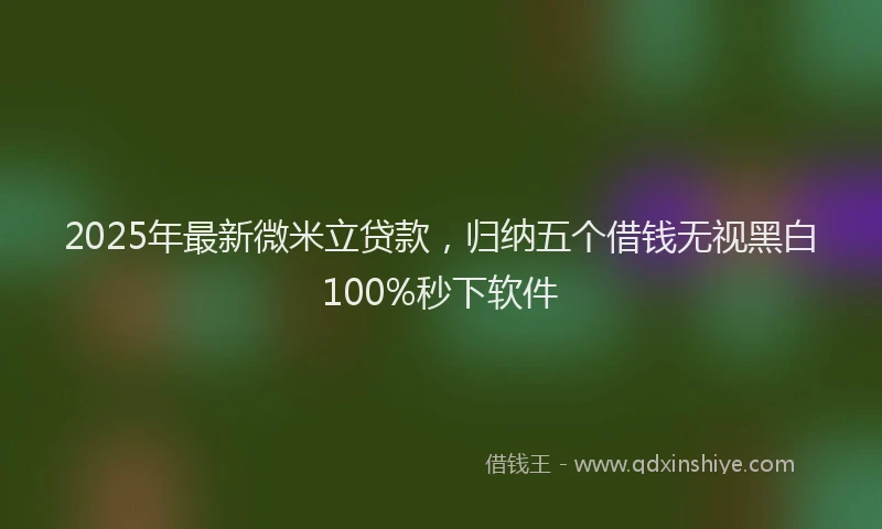 2025年最新微米立贷款，归纳五个借钱无视黑白100%秒下软件