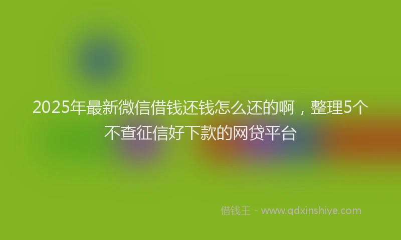 2025年最新微信借钱还钱怎么还的啊，整理5个不查征信好下款的网贷平台