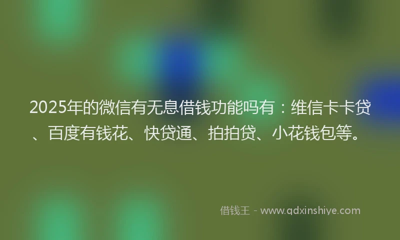 2025年的微信有无息借钱功能吗有：维信卡卡贷、百度有钱花、快贷通、拍拍贷、小花钱包等。