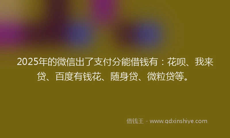 2025年的微信出了支付分能借钱有：花呗、我来贷、百度有钱花、随身贷、微粒贷等。