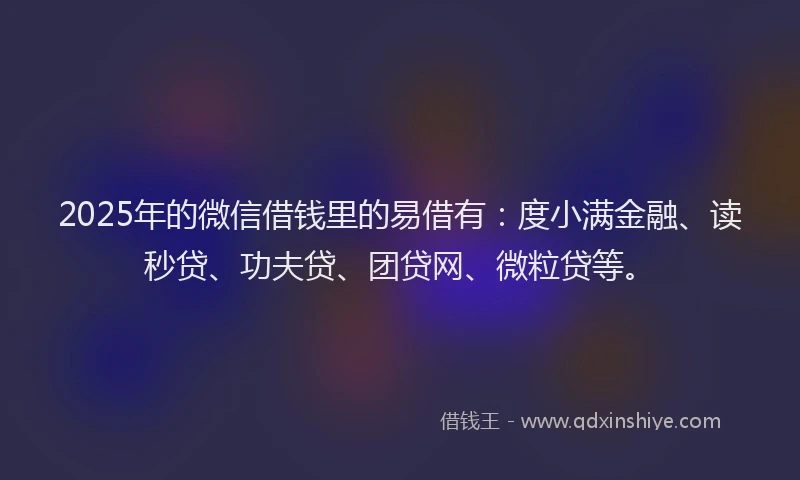 2025年的微信借钱里的易借有：度小满金融、读秒贷、功夫贷、团贷网、微粒贷等。