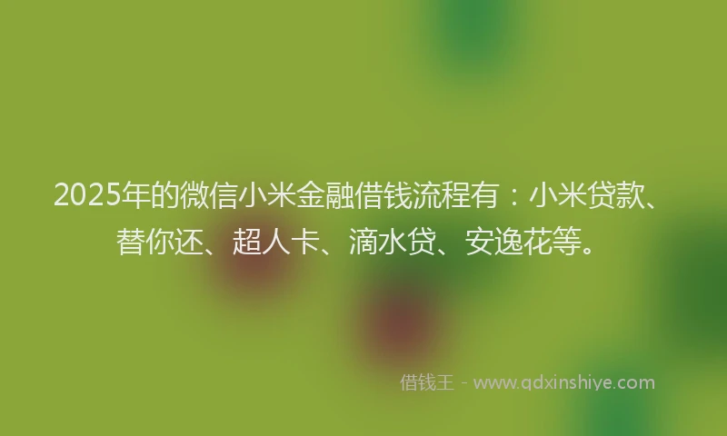 2025年的微信小米金融借钱流程有：小米贷款、替你还、超人卡、滴水贷、安逸花等。