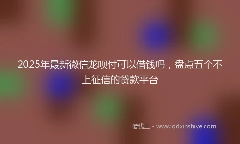 2025年最新微信龙呗付可以借钱吗，盘点五个不上征信的贷款平台