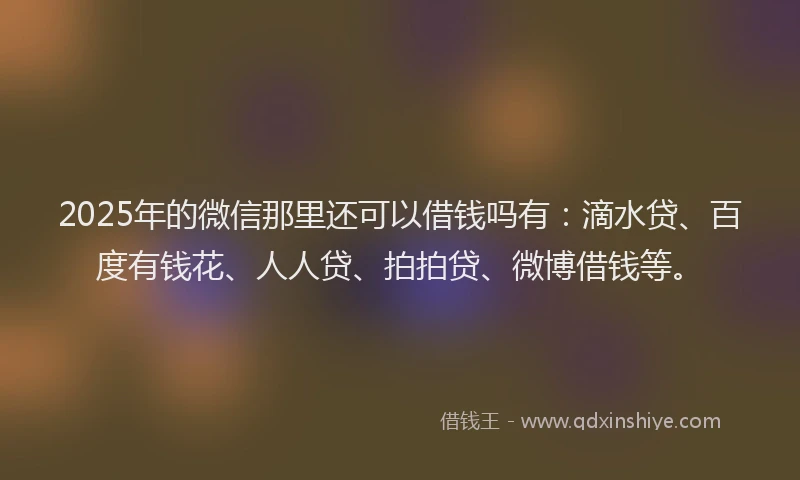 2025年的微信那里还可以借钱吗有：滴水贷、百度有钱花、人人贷、拍拍贷、微博借钱等。