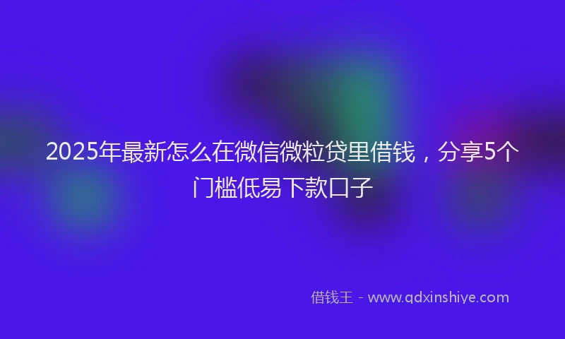 2025年最新怎么在微信微粒贷里借钱，分享5个门槛低易下款口子