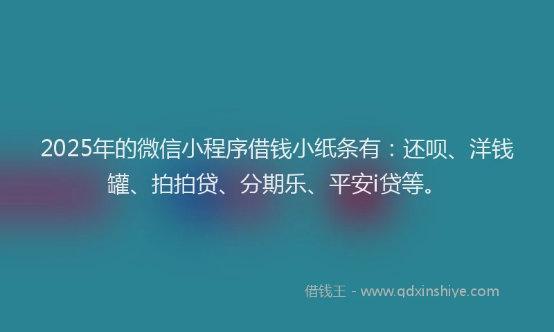 2025年的微信小程序借钱小纸条有：还呗、洋钱罐、拍拍贷、分期乐、平安i贷等。