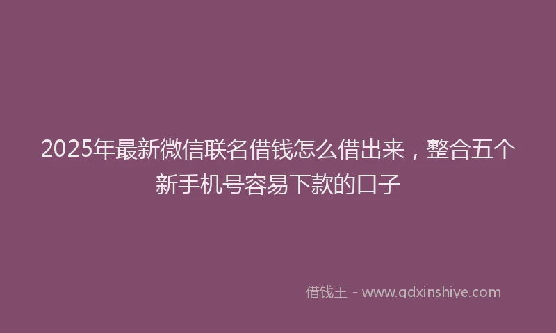 2025年最新微信联名借钱怎么借出来，整合五个新手机号容易下款的口子
