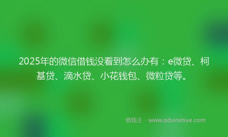 2025年的微信借钱没看到怎么办有：e微贷、柯基贷、滴水贷、小花钱包、微粒贷等。