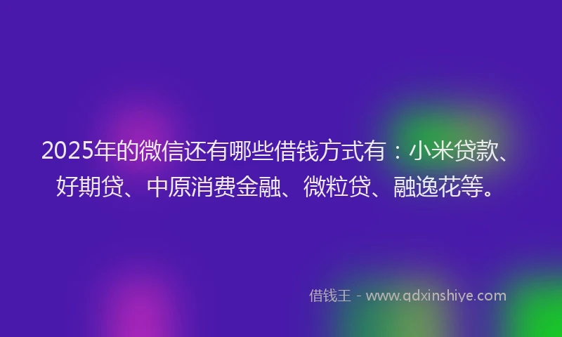 2025年的微信还有哪些借钱方式有：小米贷款、好期贷、中原消费金融、微粒贷、融逸花等。