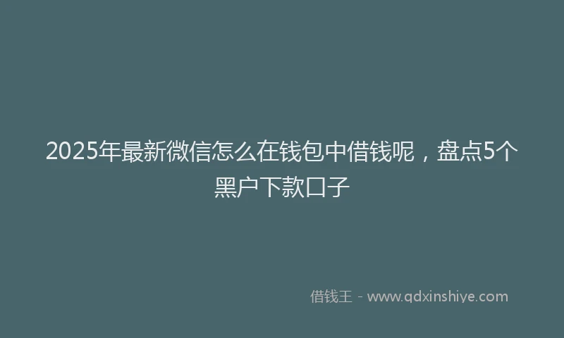 2025年最新微信怎么在钱包中借钱呢，盘点5个黑户下款口子