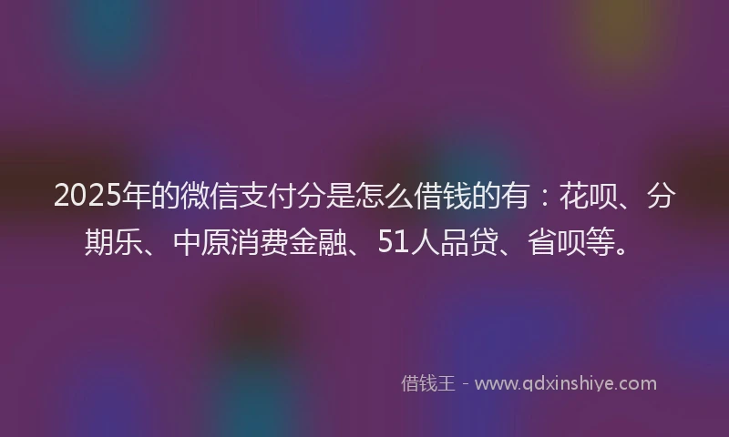 2025年的微信支付分是怎么借钱的有：花呗、分期乐、中原消费金融、51人品贷、省呗等。