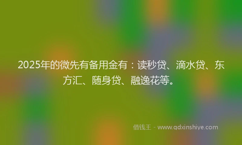 2025年的微先有备用金有：读秒贷、滴水贷、东方汇、随身贷、融逸花等。