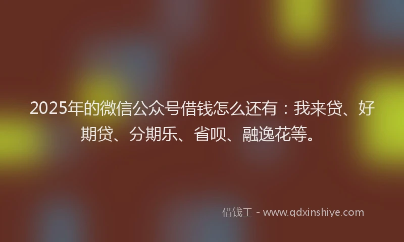 2025年的微信公众号借钱怎么还有：我来贷、好期贷、分期乐、省呗、融逸花等。