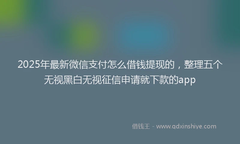 2025年最新微信支付怎么借钱提现的，整理五个无视黑白无视征信申请就下款的app