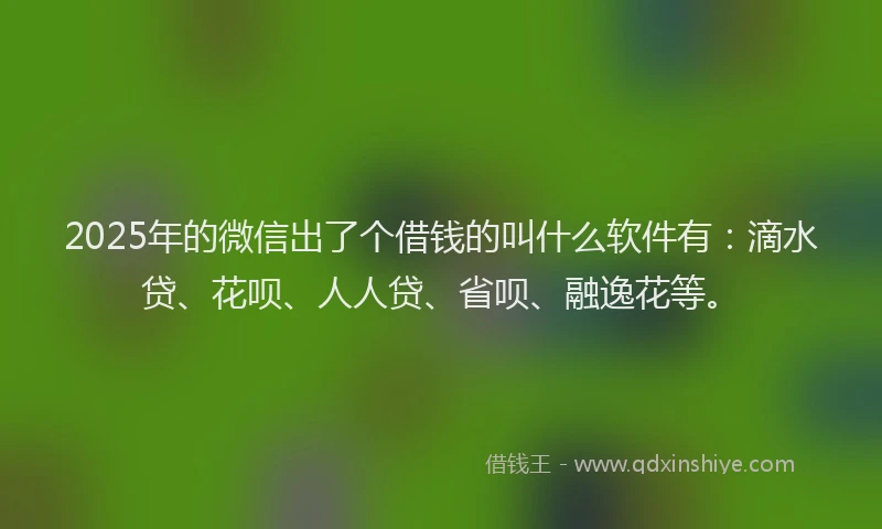 2025年的微信出了个借钱的叫什么软件有：滴水贷、花呗、人人贷、省呗、融逸花等。