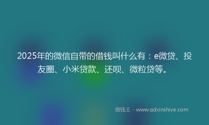 2025年的微信自带的借钱叫什么有：e微贷、投友圈、小米贷款、还呗、微粒贷等。