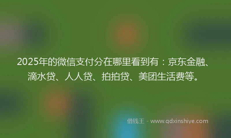 2025年的微信支付分在哪里看到有：京东金融、滴水贷、人人贷、拍拍贷、美团生活费等。