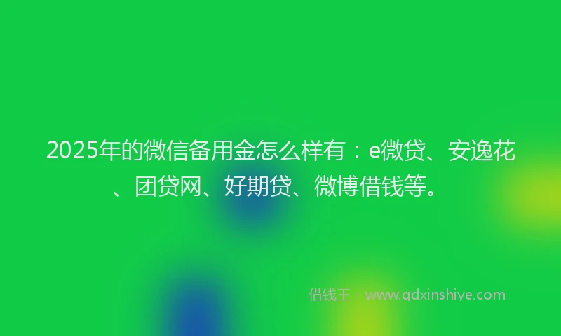 2025年的微信备用金怎么样有：e微贷、安逸花、团贷网、好期贷、微博借钱等。