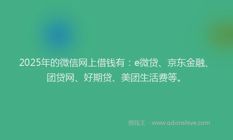 2025年的微信网上借钱有：e微贷、京东金融、团贷网、好期贷、美团生活费等。
