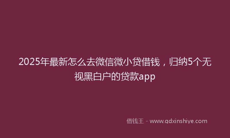 2025年最新怎么去微信微小贷借钱，归纳5个无视黑白户的贷款app