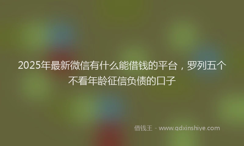 2025年最新微信有什么能借钱的平台，罗列五个不看年龄征信负债的口子