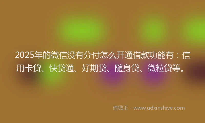 2025年的微信没有分付怎么开通借款功能有：信用卡贷、快贷通、好期贷、随身贷、微粒贷等。