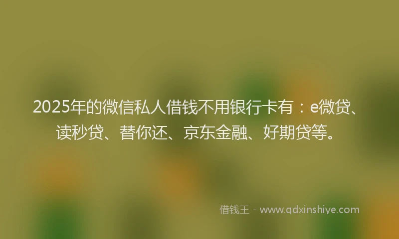 2025年的微信私人借钱不用银行卡有：e微贷、读秒贷、替你还、京东金融、好期贷等。