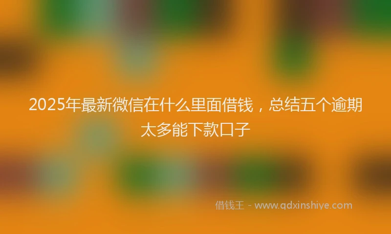 2025年最新微信在什么里面借钱，总结五个逾期太多能下款口子