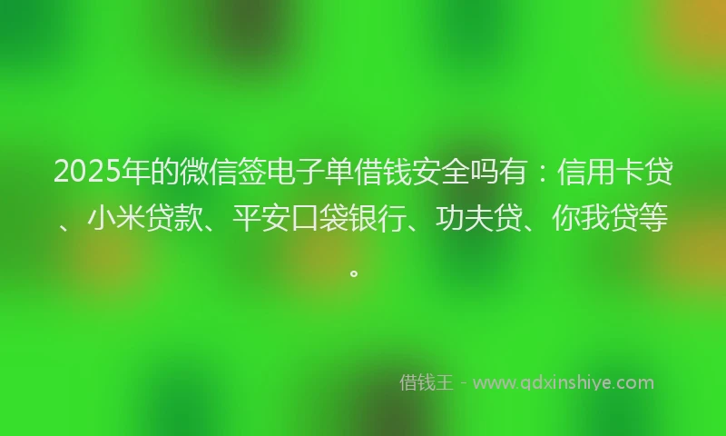 2025年的微信签电子单借钱安全吗有：信用卡贷、小米贷款、平安口袋银行、功夫贷、你我贷等。