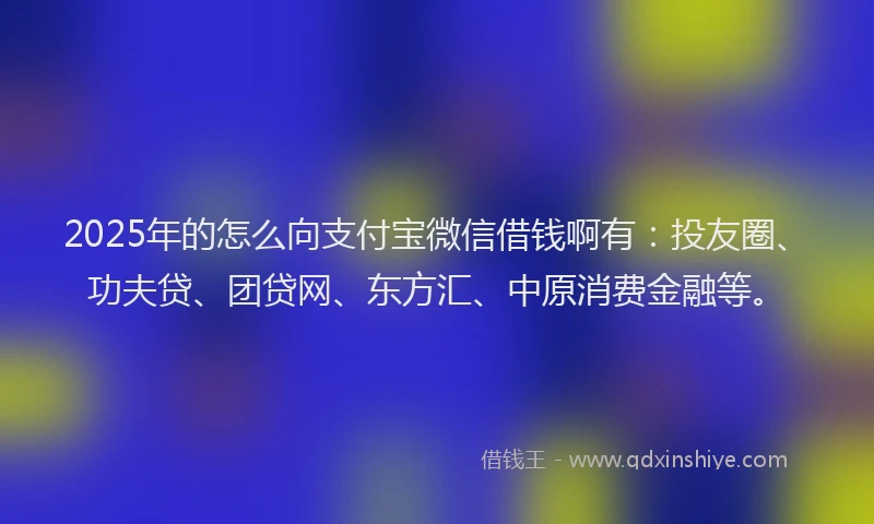 2025年的怎么向支付宝微信借钱啊有：投友圈、功夫贷、团贷网、东方汇、中原消费金融等。