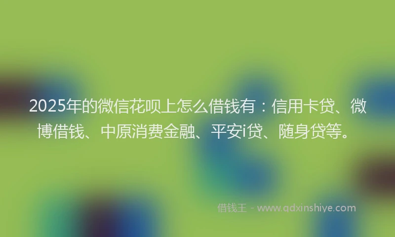 2025年的微信花呗上怎么借钱有：信用卡贷、微博借钱、中原消费金融、平安i贷、随身贷等。