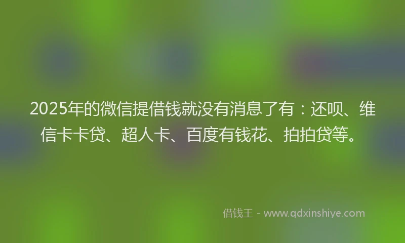 2025年的微信提借钱就没有消息了有：还呗、维信卡卡贷、超人卡、百度有钱花、拍拍贷等。