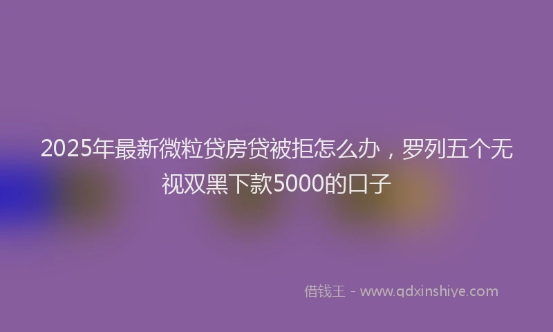 2025年最新微粒贷房贷被拒怎么办，罗列五个无视双黑下款5000的口子
