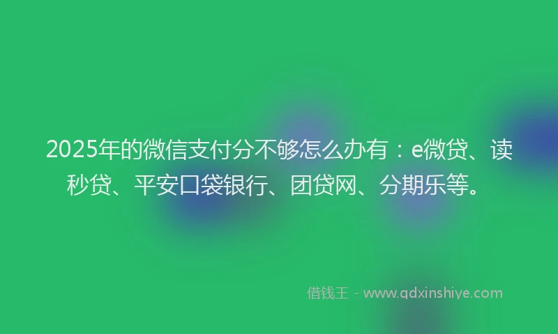 2025年的微信支付分不够怎么办有：e微贷、读秒贷、平安口袋银行、团贷网、分期乐等。