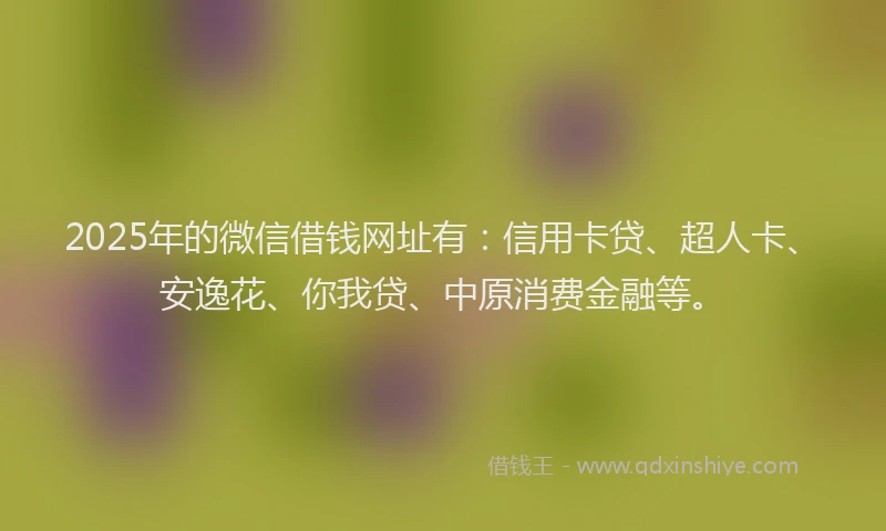 2025年的微信借钱网址有：信用卡贷、超人卡、安逸花、你我贷、中原消费金融等。